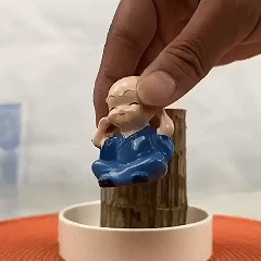 Brazilian Lucky Wood Plant (Pack of 2)